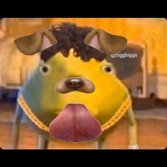 Meet your Posher, Adam - Picture 1 of 1